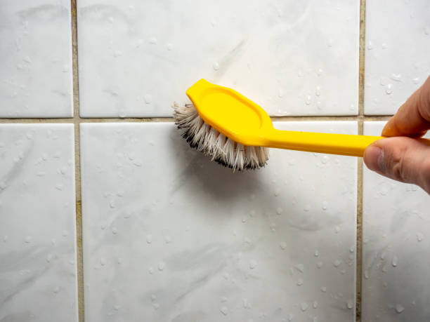 Best Emergency Mold Remediation in Duluth, GA