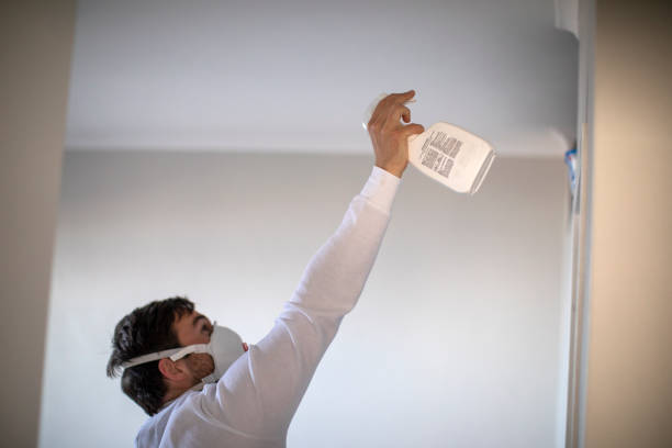 Trusted Duluth, GA Mold Remediation Experts